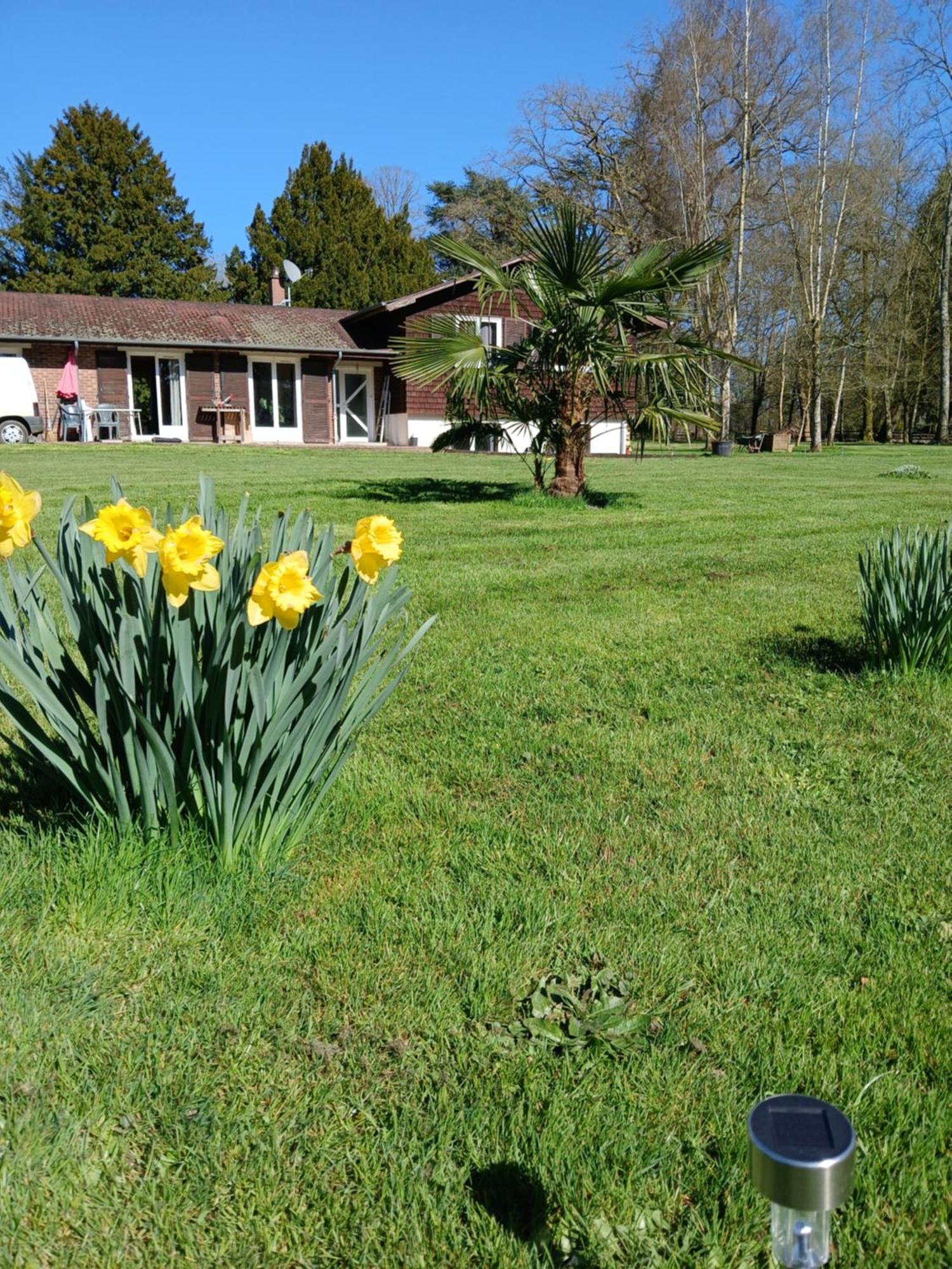 Bed and Breakfast Domaine Des Ifs Le Pin  Exteriér fotografie