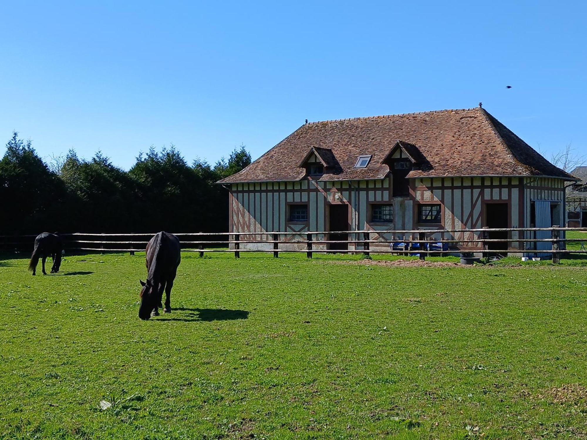 Bed and Breakfast Domaine Des Ifs Le Pin  Exteriér fotografie